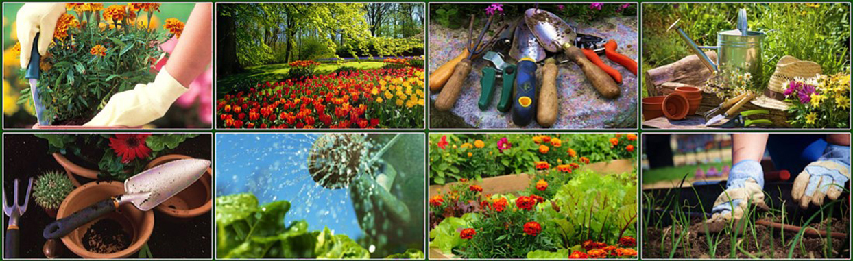 Diseño, instalación y mantenimiento de jardines